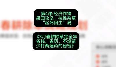 第4节：经济作物果园攻坚，抗性杂草&ldquo;起死回生&rdquo;局，课程：《3月春耕除草定全年：省钱、省药、不烧苗、少打两遍药的秘密》
